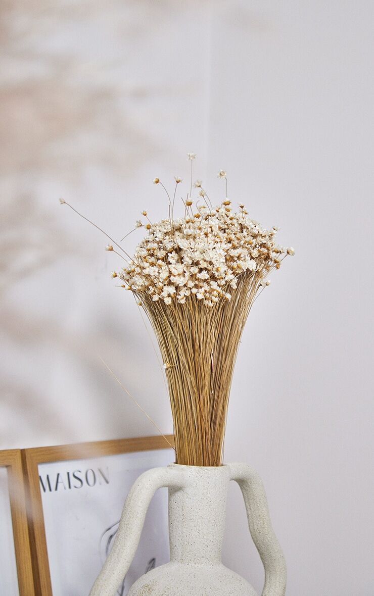 PrettyLittleThing Dried Daises Flower Bunch  - Natural - Size: One Size