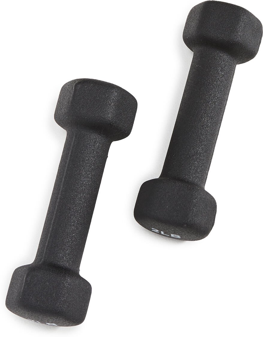 P.volve 2lb Hand Weights (Black) Black One Size    size: