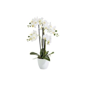 Botanic-Haus Kunstblume »Phalenopsis Topf 4 Rispen« weiss