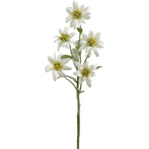 Botanic-Haus Kunstblume »Edelweiss 3er Set« weiss