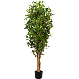 Creativ green Kunstbaum »Ficus Benjamini« grün Größe