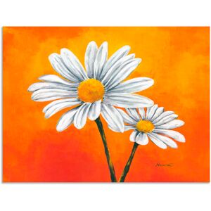 Artland Wandbild »Margeriten auf Orange«, Blumen, (1 St.), als Alubild,... orange Größe