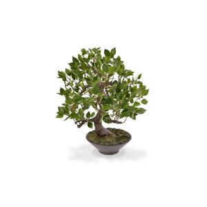 Botanic-Haus Kunstblume »Bonsai Ficus Wiandi« Grün Größe