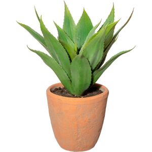 Creativ green Künstliche Zimmerpflanze »Agave im Terracottatopf« grün Größe