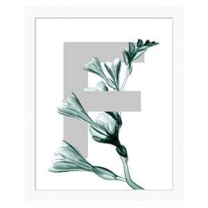 queence Bild »F-Flower«, Buchstaben, gerahmt, Blume, Blätter weiss Größe
