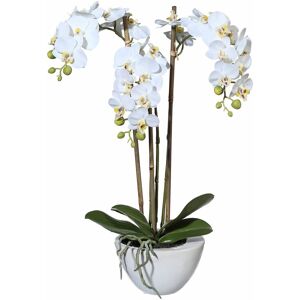 Creativ green Kunstpflanze »Mini Orchidee« Weiss Größe