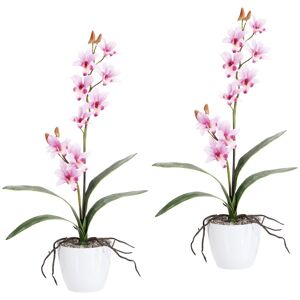 Creativ green Kunstpflanze »Orchidee Dendrobie«, im Keramiktopf rosa Größe