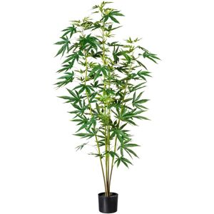 Creativ green Künstliche Zimmerpflanze »Zierhanfpflanze« grün Größe