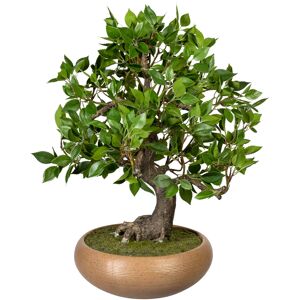 Creativ green Kunstbonsai »Bonsai Ficus« grün Größe