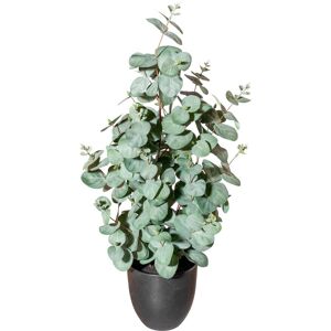 Creativ green Künstliche Zimmerpflanze »Eukalyptus« grün Größe