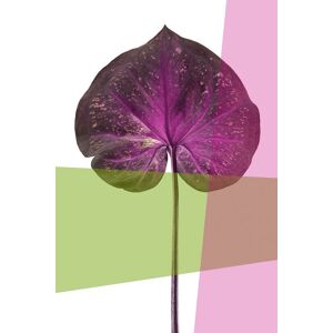 queence Acrylglasbild »Blätter« lila Größe