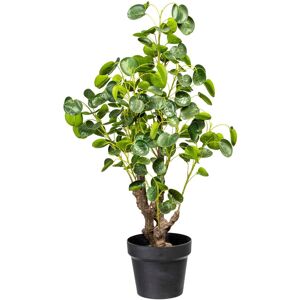 Creativ green Künstliche Zimmerpflanze »Pileapflanze« grün Größe