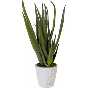 Creativ green Kunstpflanze »Aloe« grün Größe