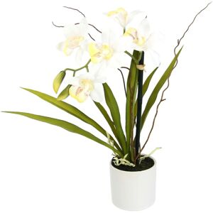 I.GE.A. Kunstorchidee »Orchidee«, im Keramiktopf creme Größe