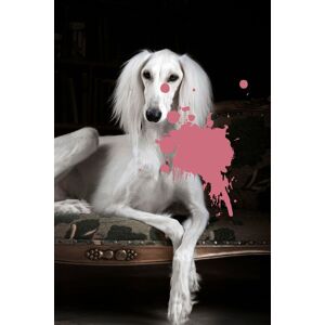 queence Acrylglasbild »Hund« rosa Größe