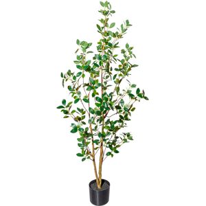 Creativ green Kunstbaum »Ficus ginseng« grün Größe