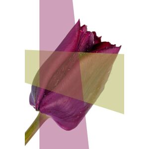 queence Acrylglasbild »Blume« lila Größe