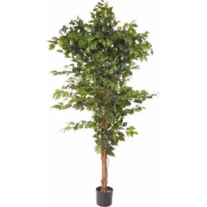 Creativ green Kunstpflanze »Ficus Benjamini« grün Größe