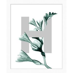 queence Bild »H-Flower«, Buchstaben, Blätter, gerahmt, Blume weiss Größe