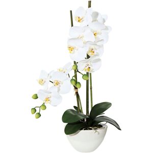 Creativ green Kunstpflanze »Orchidee« weiss Größe