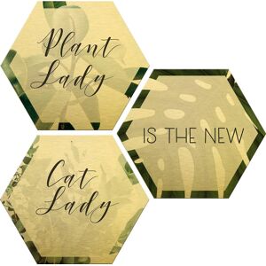 Wall-Art Metallbild »Plantlady is the new Catlady«, Natur, (Set), Masse... goldfarben Größe