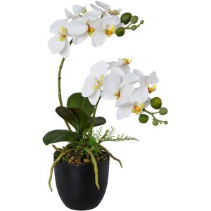 Creativ green Kunstorchidee »Phalaenopsis«, im Kunststofftopf weiss Größe