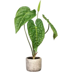 Creativ green Künstliche Zimmerpflanze »Anthurie«, im Zementtopf grün Größe