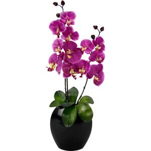 I.GE.A. Kunstpflanze »Phalaenopsis in Vase« rosa Größe