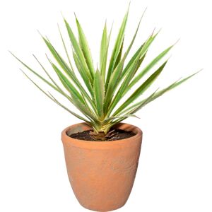 Creativ green Künstliche Zimmerpflanze »Yucca im Terracottatopf« grün Größe