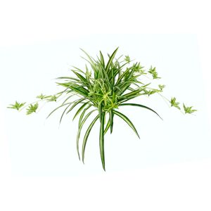 I.GE.A. Kunstpflanze »Wasserlilie« grün Größe