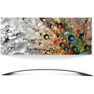 Artland Wandbild »Farbenfrohe Natur«, Blumen, (1 St.), 3D Optik gebogen bunt Größe