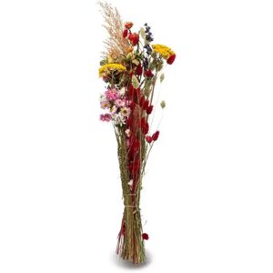 Artoz - Trockenblumen, 65-70cm, Multicolor