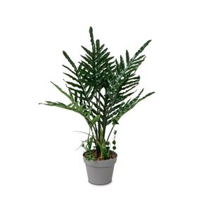 Manor - Künstliche Pflanze, 80cm, Grün