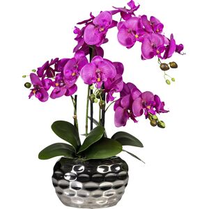 kaiserkraft Phalaenopsis in Ovalvase, Höhe 550 mm, Blüten violett