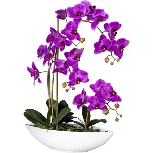 kaiserkraft Phalaenopsis, in Keramikschale, lila, Höhe 600 mm