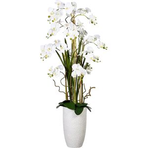 kaiserkraft Phalaenopsisarrangement, in Keramikvase, Höhe ca. 1600 mm, Blüten weiß