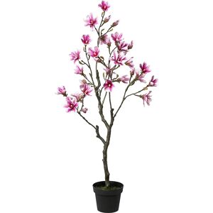 kaiserkraft Magnolienbaum, real touch, Höhe ca. 1350 mm, Blüten pink