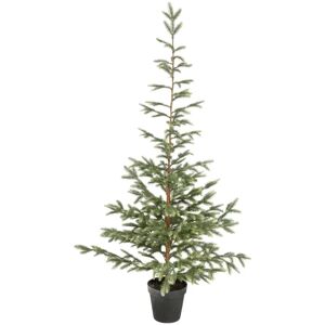 . Tannenbaum Altin; 65x180 cm (ØxH); grün/schwarz