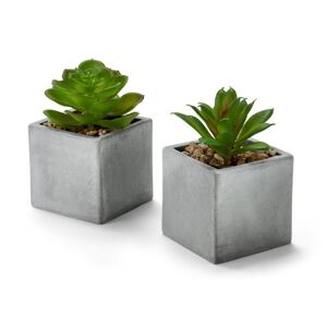 2 Mini-Kunstpflanzen in Töpfchen - Tchibo - Grau Polyethylen   unisex