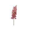 Edg Orchidee Rose H: 67 cm