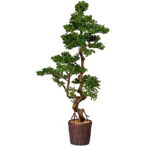 Kunstbonsai HOME AFFAIRE 