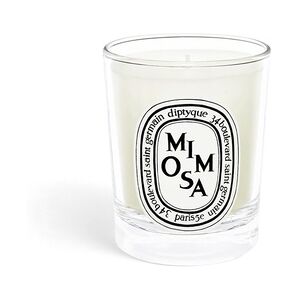 Diptyque Mimosa Kerzen 70 g