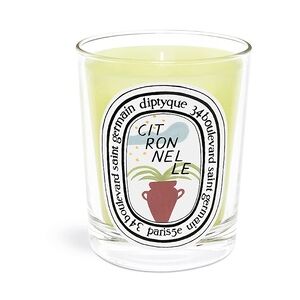 Diptyque Citronnelle Kerzen 190 g