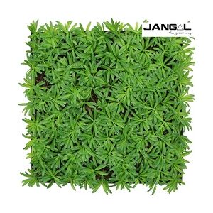 Wandpaneel Jangal Modular Wall 11104 Podocarpus Tea Tree 52 x 52 cm