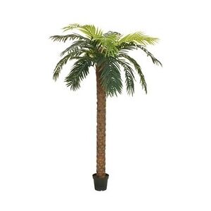 EUROPALMS Phönix Palme deluxe, Kunstpflanze, 300cm