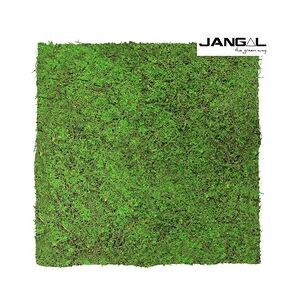 Wandpaneel Jangal Modular Wall 11107 Forest Green Ancient Tree 52 x 52 cm