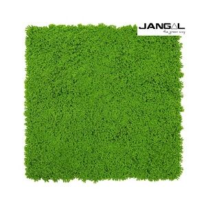 Wandpaneel Jangal Modular Wall 11121 Lime Green Design Moos 52 x 52 cm