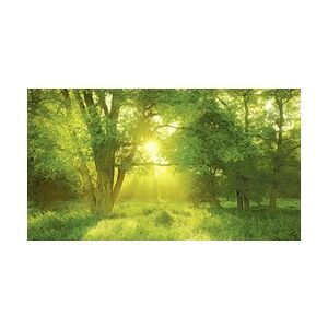 Weitere Deco-Panel Bild - Slumber Light 180 x 100 cm