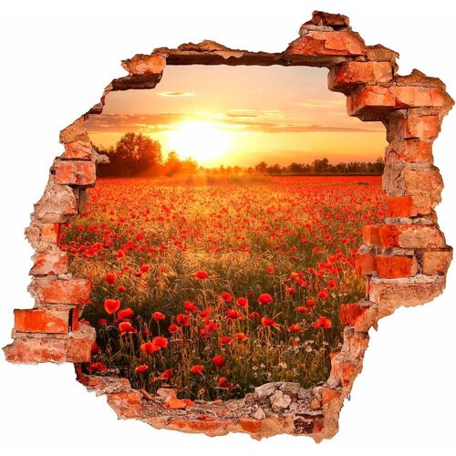 Wall-Art Wandtattoo WALL-ART „Mohnfeld im Sonnenuntergang“ Wandtattoos Gr. B/H: 100 cm x 95 cm, Natur, bunt Wandtattoos Natur