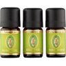 Primavera Aroma Therapie Ätherische Öle bio Duftende Hausapotheke Lavendel Fein Bio 5 ml + Pfefferminze Bio 5 ml + Teebaum Bio 5 ml